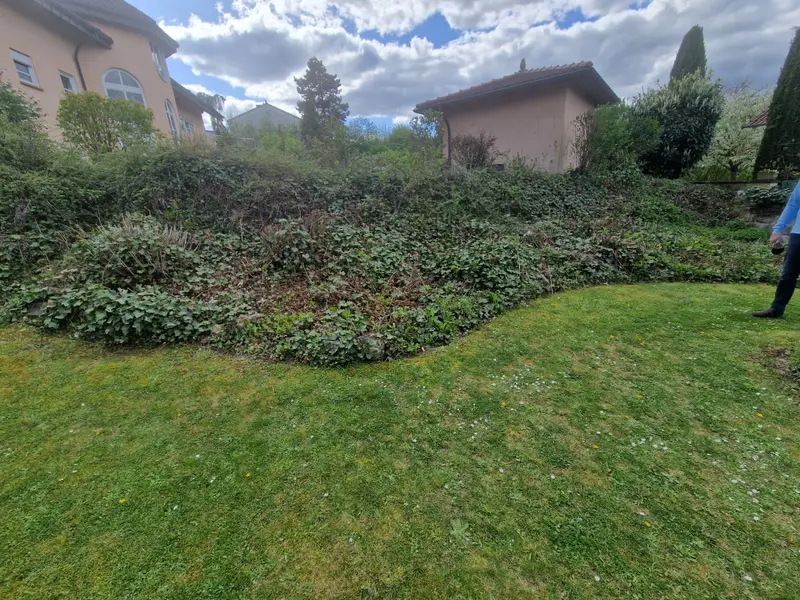 Grünpflege und Gartenpflege in Dreisen