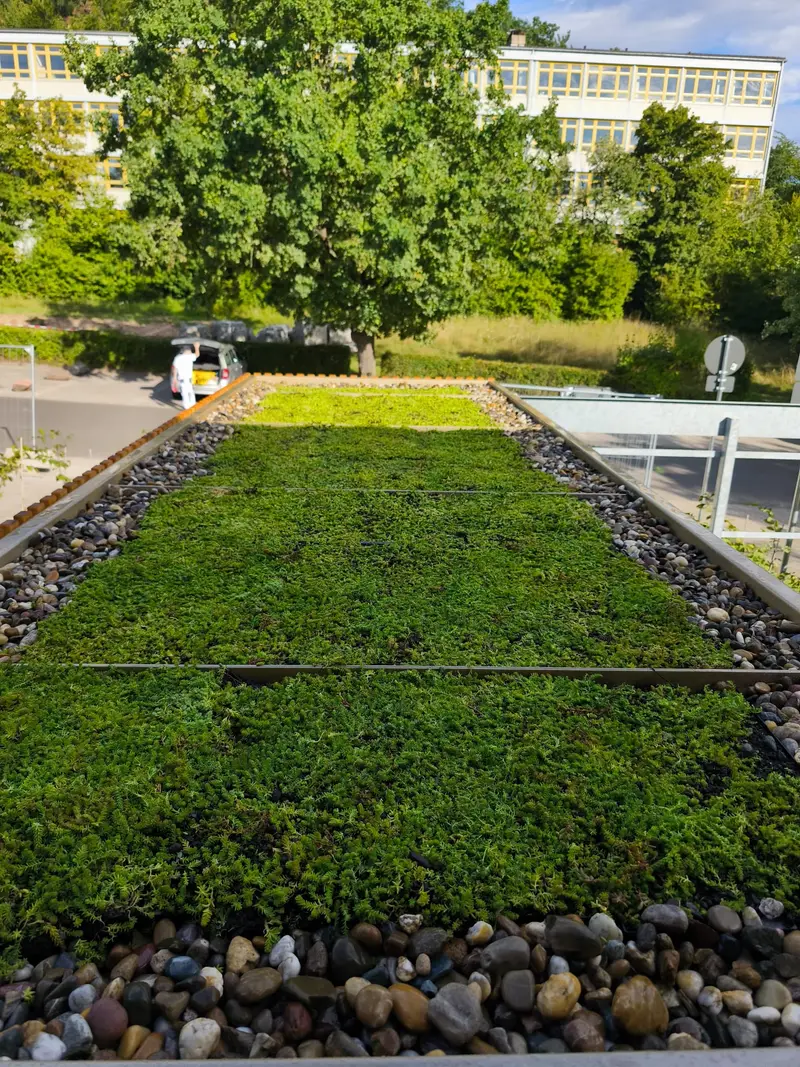 Grünpflege & Gartenpflege, Referenz 3 aus Dreisen und Umgebung
