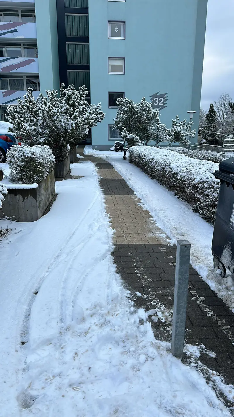 Winterdienst in Dreisen